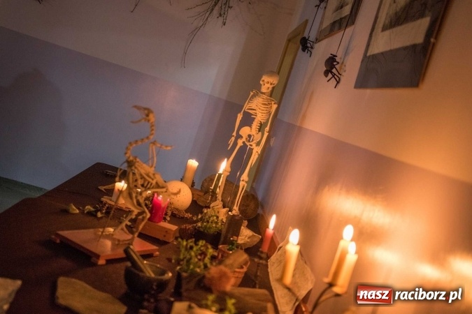 Zdjęcie w galerii na portalu naszraciborz.pl: Czarowanie gimnazjalist&oacute;w, czyli dni otwarte w raciborskich szkołach ponadgimnazjalnych wiadomości z regionu