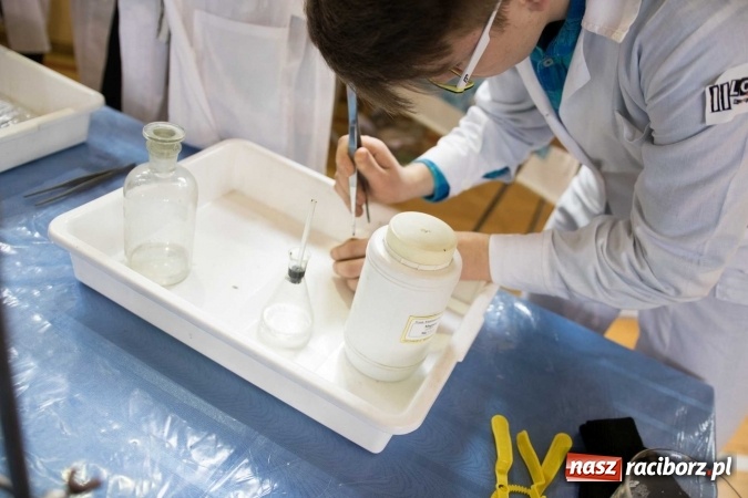 Zdjęcie w galerii na portalu naszraciborz.pl: Czarowanie gimnazjalist&oacute;w, czyli dni otwarte w raciborskich szkołach ponadgimnazjalnych wiadomości z regionu