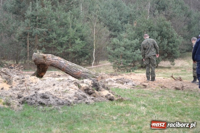 Zdjęcie w galerii na portalu naszraciborz.pl: W Jankowicach znaleziono mały arsenał z okresu II wojny światowej FOTO wiadomości z regionu