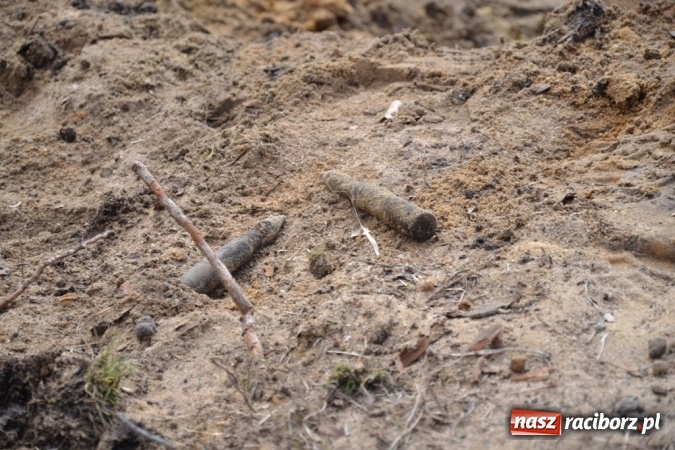 Zdjęcie w galerii na portalu naszraciborz.pl: W Jankowicach znaleziono mały arsenał z okresu II wojny światowej FOTO wiadomości z regionu