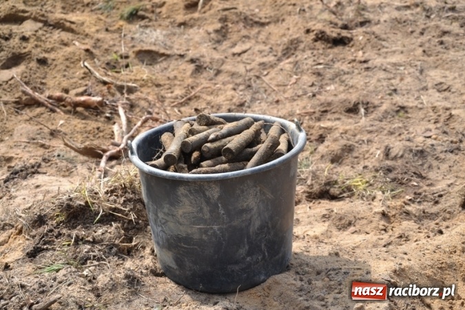 Zdjęcie w galerii na portalu naszraciborz.pl: W Jankowicach znaleziono mały arsenał z okresu II wojny światowej FOTO wiadomości z regionu