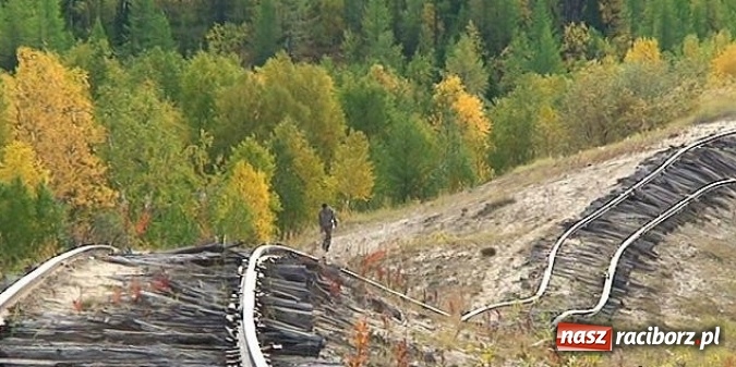Zdjęcie w galerii na portalu naszraciborz.pl: Jeden z 316. Od żołnierza tułacza do żołnierskiej legendy, czyli niezwykła historia porucznika Eugeniusza Chylińskiego, który spoczywa w Raciborzu wiadomości z regionu