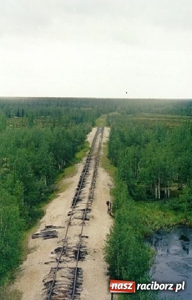 Zdjęcie w galerii na portalu naszraciborz.pl: Jeden z 316. Od żołnierza tułacza do żołnierskiej legendy, czyli niezwykła historia porucznika Eugeniusza Chylińskiego, który spoczywa w Raciborzu wiadomości z regionu