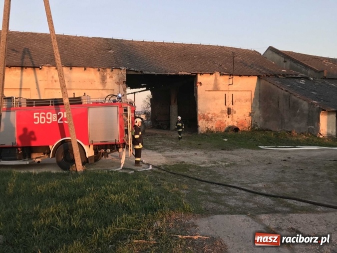 Zdjęcie w galerii na portalu naszraciborz.pl: Naczelnik OSP wypatrzył pożar. W Makowie zapaliły się bale słomy w stodole FOTO I WIDEO wiadomości z regionu