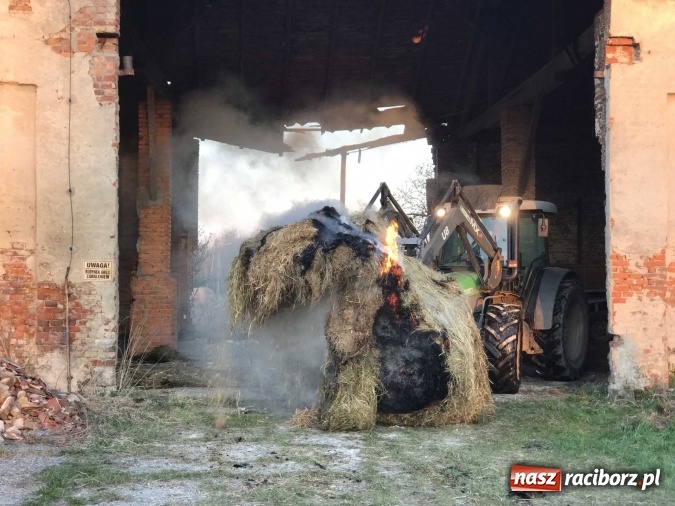 Zdjęcie w galerii na portalu naszraciborz.pl: Naczelnik OSP wypatrzył pożar. W Makowie zapaliły się bale słomy w stodole FOTO I WIDEO wiadomości z regionu