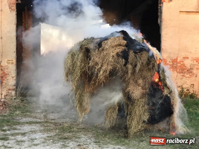 Zdjęcie w galerii na portalu naszraciborz.pl: Naczelnik OSP wypatrzył pożar. W Makowie zapaliły się bale słomy w stodole FOTO I WIDEO wiadomości z regionu