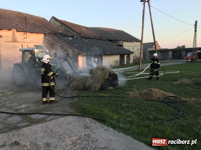 Zdjęcie w galerii na portalu naszraciborz.pl: Naczelnik OSP wypatrzył pożar. W Makowie zapaliły się bale słomy w stodole FOTO I WIDEO wiadomości z regionu