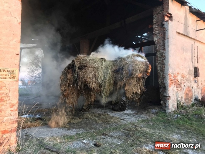 Zdjęcie w galerii na portalu naszraciborz.pl: Naczelnik OSP wypatrzył pożar. W Makowie zapaliły się bale słomy w stodole FOTO I WIDEO wiadomości z regionu