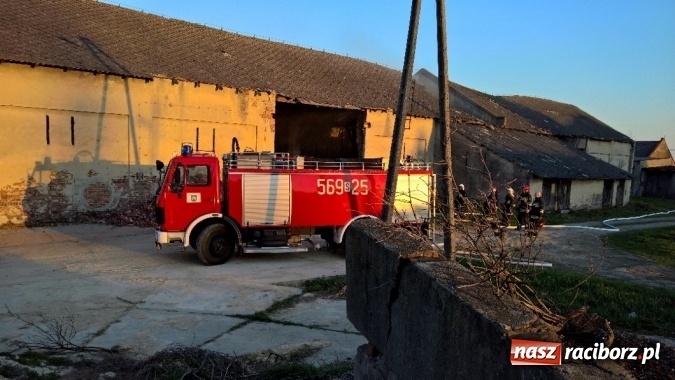 Zdjęcie w galerii na portalu naszraciborz.pl: Naczelnik OSP wypatrzył pożar. W Makowie zapaliły się bale słomy w stodole FOTO I WIDEO wiadomości z regionu
