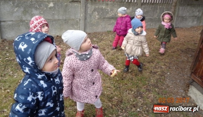 Zdjęcie w galerii na portalu naszraciborz.pl: Fiku-miku powitało już wiosnę  wiadomości z regionu