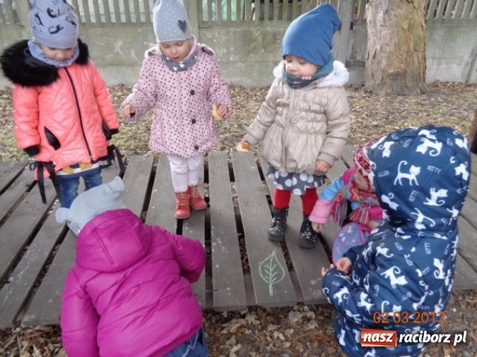 Zdjęcie w galerii na portalu naszraciborz.pl: Fiku-miku powitało już wiosnę  wiadomości z regionu