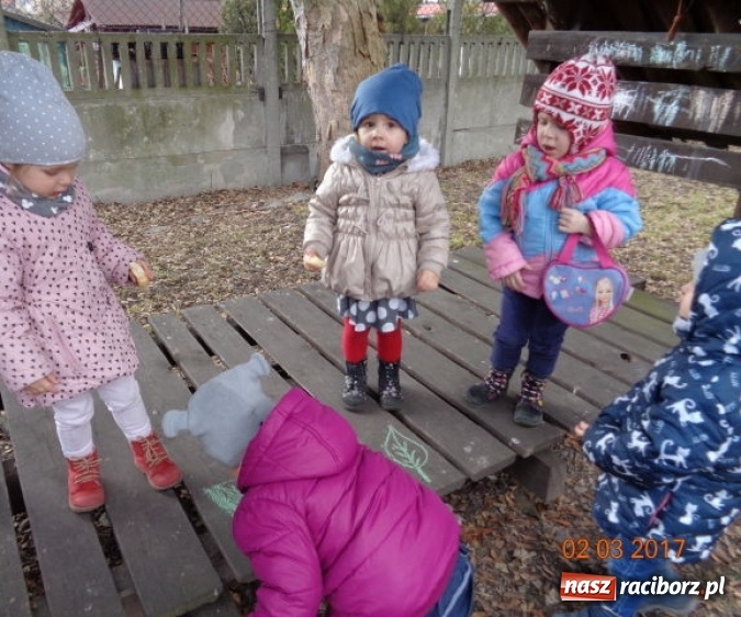 Zdjęcie w galerii na portalu naszraciborz.pl: Fiku-miku powitało już wiosnę  wiadomości z regionu