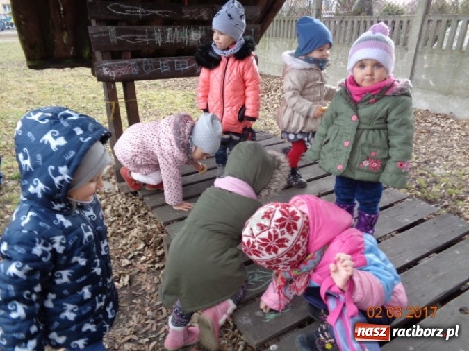 Zdjęcie w galerii na portalu naszraciborz.pl: Fiku-miku powitało już wiosnę  wiadomości z regionu