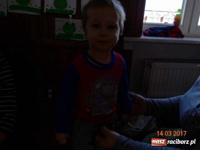 Zdjęcie w galerii na portalu naszraciborz.pl: Fiku-miku powitało już wiosnę  wiadomości z regionu