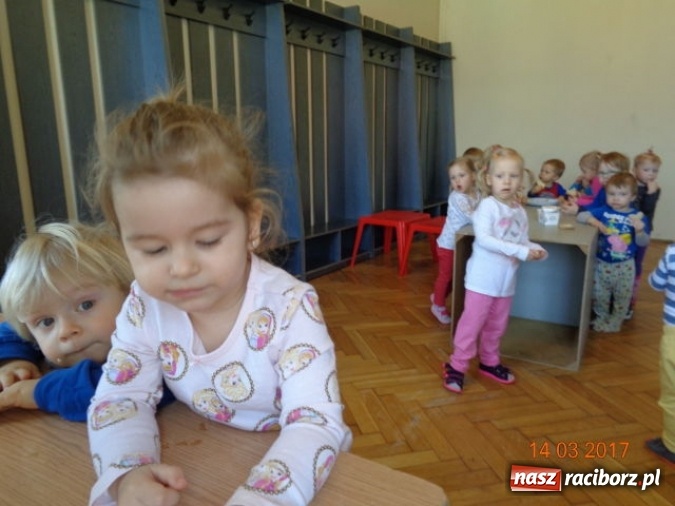 Zdjęcie w galerii na portalu naszraciborz.pl: Fiku-miku powitało już wiosnę  wiadomości z regionu