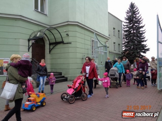 Zdjęcie w galerii na portalu naszraciborz.pl: Fiku-miku powitało już wiosnę  wiadomości z regionu