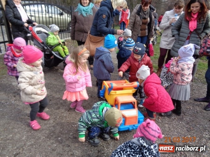 Zdjęcie w galerii na portalu naszraciborz.pl: Fiku-miku powitało już wiosnę  wiadomości z regionu
