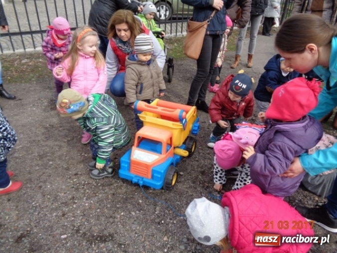 Zdjęcie w galerii na portalu naszraciborz.pl: Fiku-miku powitało już wiosnę  wiadomości z regionu