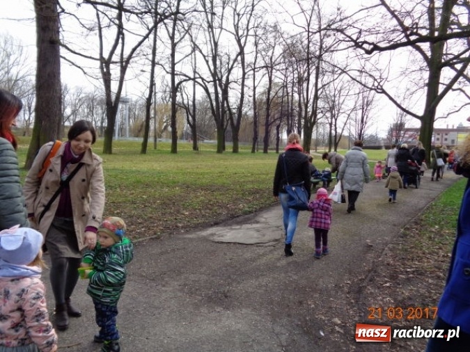 Zdjęcie w galerii na portalu naszraciborz.pl: Fiku-miku powitało już wiosnę  wiadomości z regionu