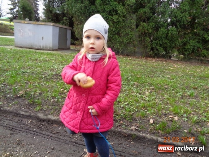 Zdjęcie w galerii na portalu naszraciborz.pl: Fiku-miku powitało już wiosnę  wiadomości z regionu