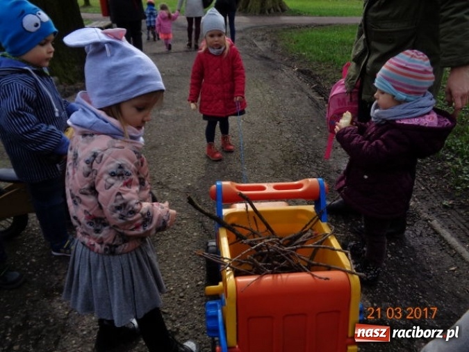 Zdjęcie w galerii na portalu naszraciborz.pl: Fiku-miku powitało już wiosnę  wiadomości z regionu