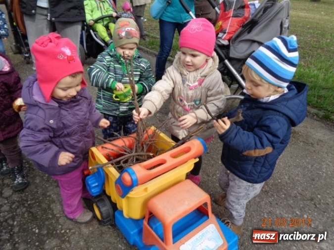 Zdjęcie w galerii na portalu naszraciborz.pl: Fiku-miku powitało już wiosnę  wiadomości z regionu