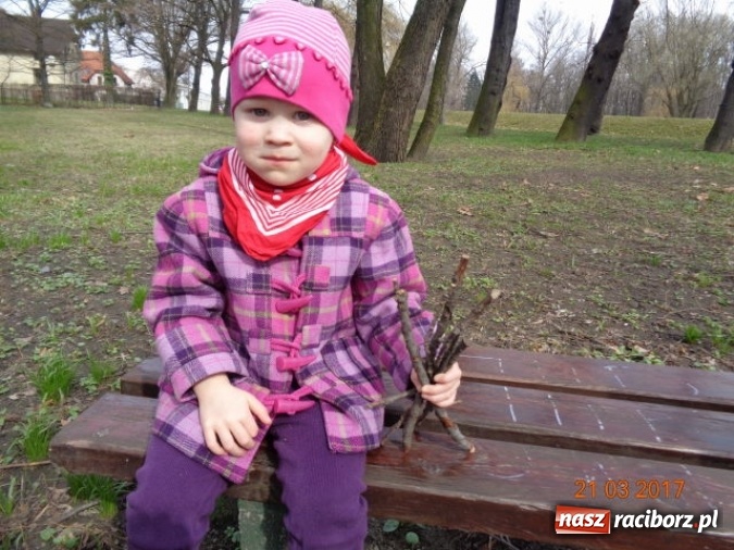 Zdjęcie w galerii na portalu naszraciborz.pl: Fiku-miku powitało już wiosnę  wiadomości z regionu