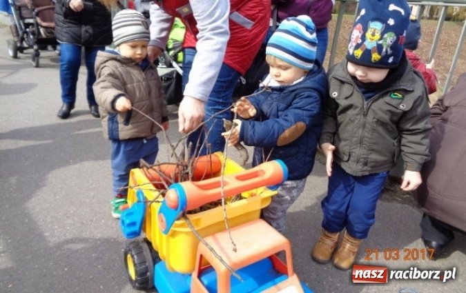 Zdjęcie w galerii na portalu naszraciborz.pl: Fiku-miku powitało już wiosnę  wiadomości z regionu