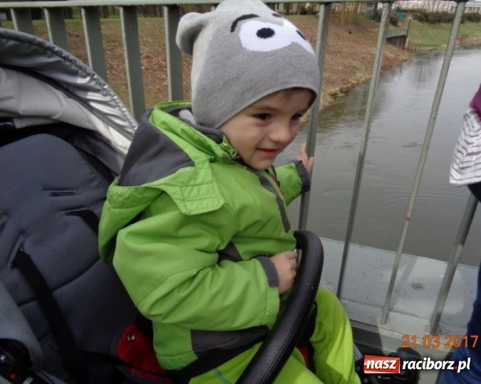 Zdjęcie w galerii na portalu naszraciborz.pl: Fiku-miku powitało już wiosnę  wiadomości z regionu