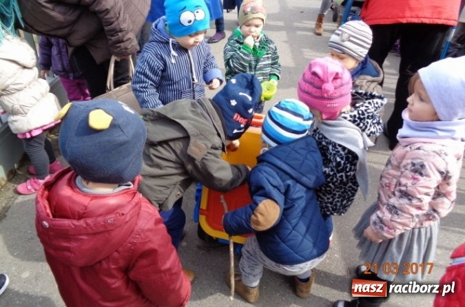 Zdjęcie w galerii na portalu naszraciborz.pl: Fiku-miku powitało już wiosnę  wiadomości z regionu
