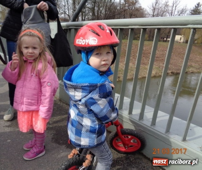 Zdjęcie w galerii na portalu naszraciborz.pl: Fiku-miku powitało już wiosnę  wiadomości z regionu