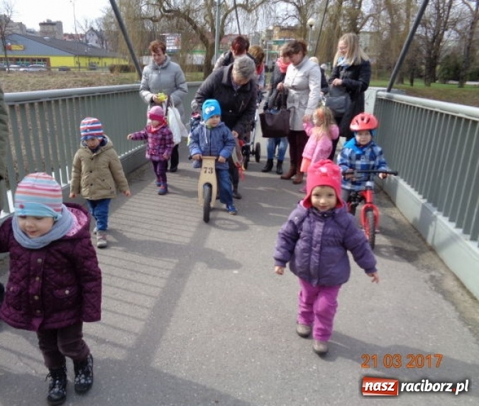 Zdjęcie w galerii na portalu naszraciborz.pl: Fiku-miku powitało już wiosnę  wiadomości z regionu