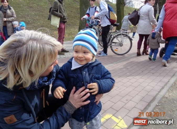 Zdjęcie w galerii na portalu naszraciborz.pl: Fiku-miku powitało już wiosnę  wiadomości z regionu