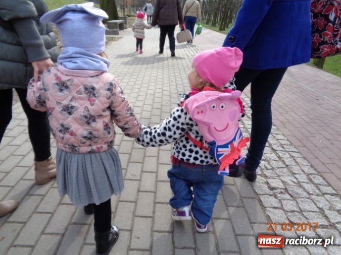 Zdjęcie w galerii na portalu naszraciborz.pl: Fiku-miku powitało już wiosnę  wiadomości z regionu