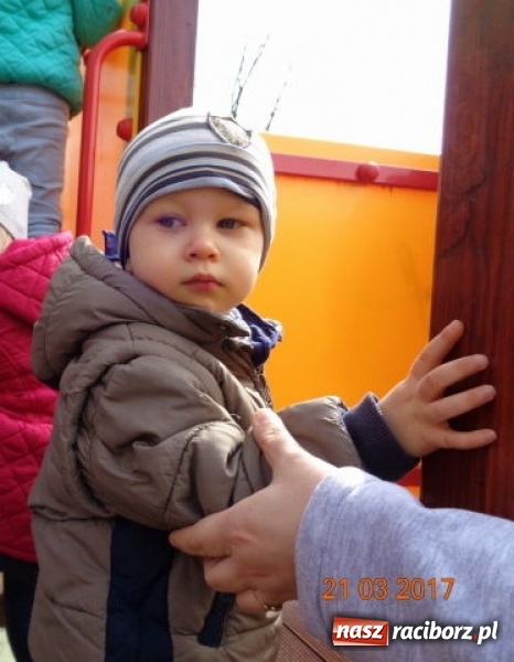 Zdjęcie w galerii na portalu naszraciborz.pl: Fiku-miku powitało już wiosnę  wiadomości z regionu