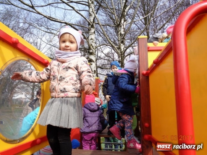 Zdjęcie w galerii na portalu naszraciborz.pl: Fiku-miku powitało już wiosnę  wiadomości z regionu