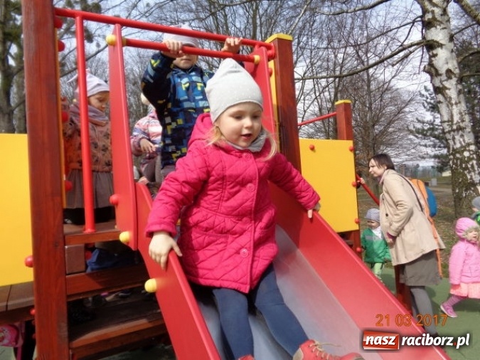 Zdjęcie w galerii na portalu naszraciborz.pl: Fiku-miku powitało już wiosnę  wiadomości z regionu