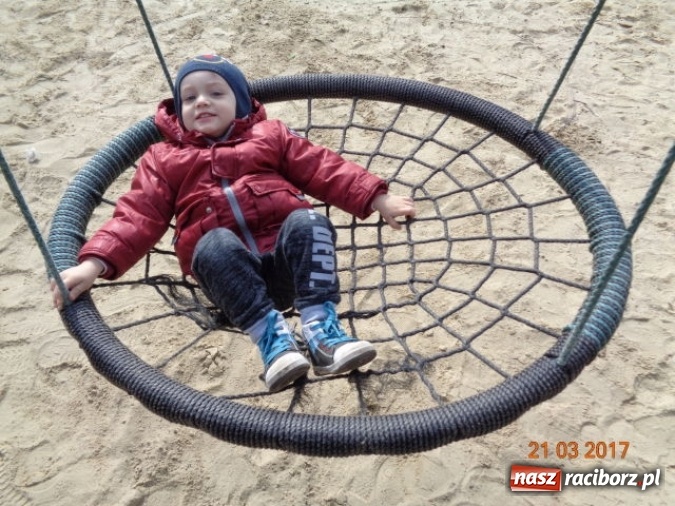 Zdjęcie w galerii na portalu naszraciborz.pl: Fiku-miku powitało już wiosnę  wiadomości z regionu