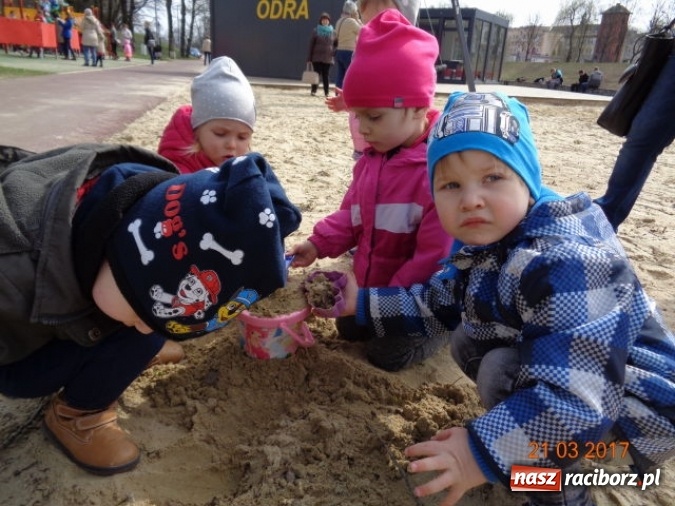 Zdjęcie w galerii na portalu naszraciborz.pl: Fiku-miku powitało już wiosnę  wiadomości z regionu