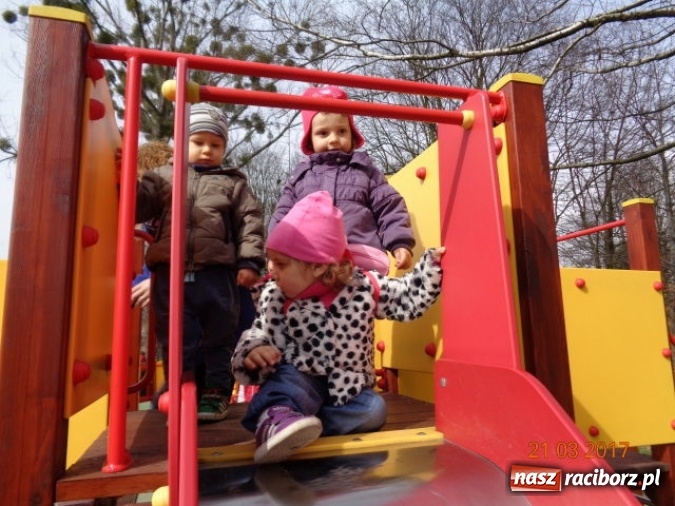 Zdjęcie w galerii na portalu naszraciborz.pl: Fiku-miku powitało już wiosnę  wiadomości z regionu