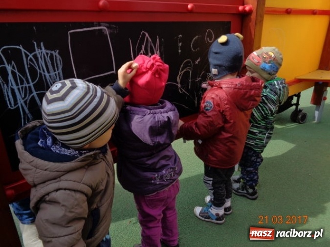 Zdjęcie w galerii na portalu naszraciborz.pl: Fiku-miku powitało już wiosnę  wiadomości z regionu