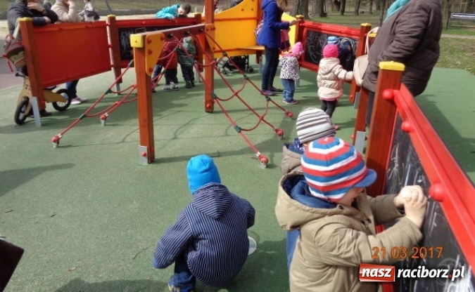 Zdjęcie w galerii na portalu naszraciborz.pl: Fiku-miku powitało już wiosnę  wiadomości z regionu