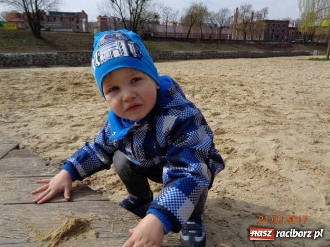 Zdjęcie w galerii na portalu naszraciborz.pl: Fiku-miku powitało już wiosnę  wiadomości z regionu