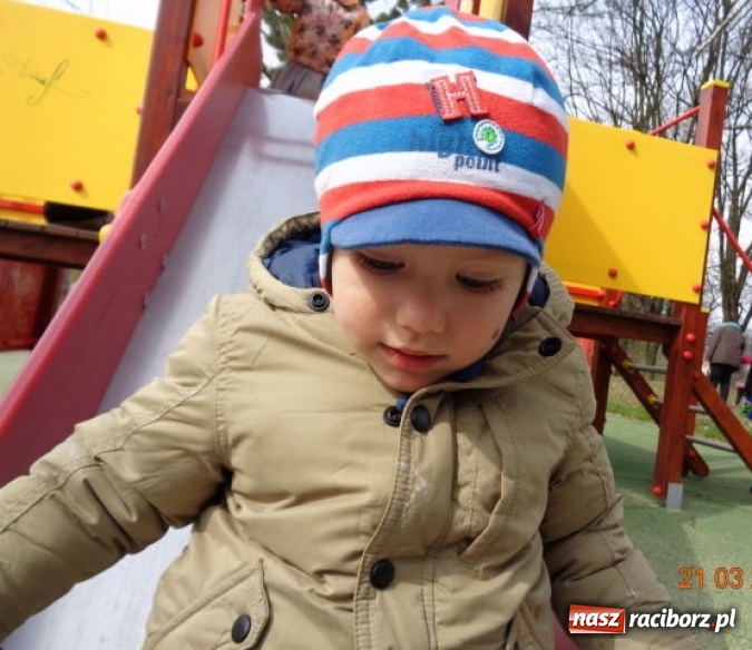 Zdjęcie w galerii na portalu naszraciborz.pl: Fiku-miku powitało już wiosnę  wiadomości z regionu