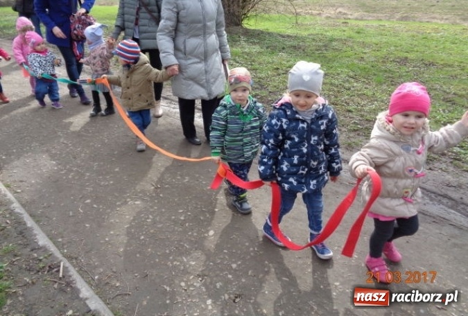 Zdjęcie w galerii na portalu naszraciborz.pl: Fiku-miku powitało już wiosnę  wiadomości z regionu