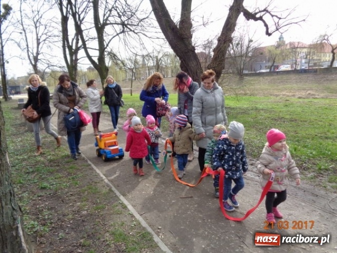 Zdjęcie w galerii na portalu naszraciborz.pl: Fiku-miku powitało już wiosnę  wiadomości z regionu