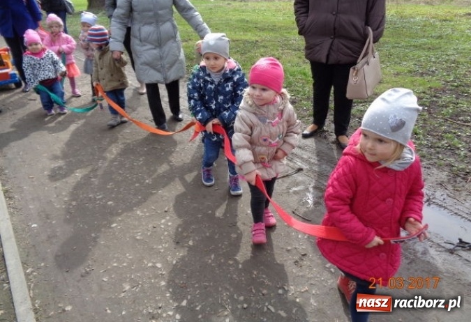 Zdjęcie w galerii na portalu naszraciborz.pl: Fiku-miku powitało już wiosnę  wiadomości z regionu