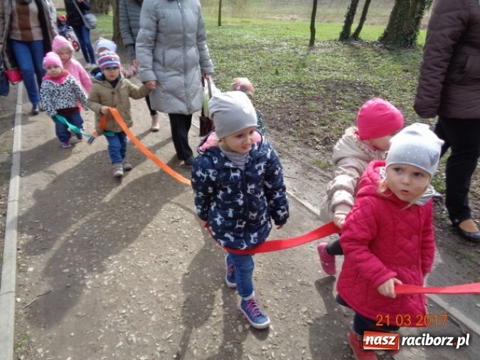 Zdjęcie w galerii na portalu naszraciborz.pl: Fiku-miku powitało już wiosnę  wiadomości z regionu