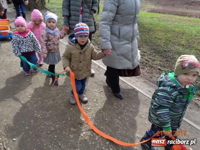 Zdjęcie w galerii na portalu naszraciborz.pl: Fiku-miku powitało już wiosnę  wiadomości z regionu