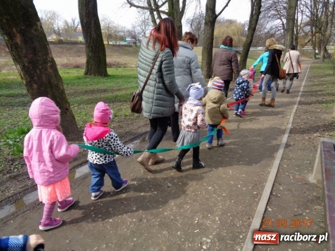 Zdjęcie w galerii na portalu naszraciborz.pl: Fiku-miku powitało już wiosnę  wiadomości z regionu